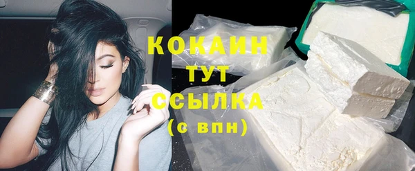 стафф Алзамай