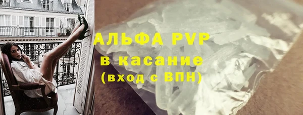 стафф Алзамай