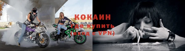 стафф Алзамай
