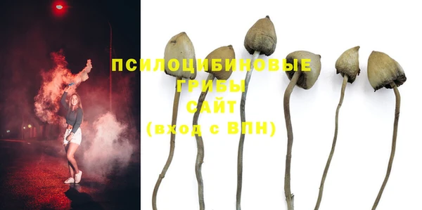 кокаин Алексеевка