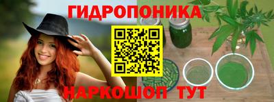 бошки Можга