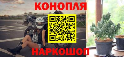 гидропоника Можайск