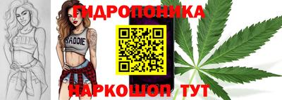 бошки Можга