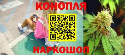 гидра Моздок