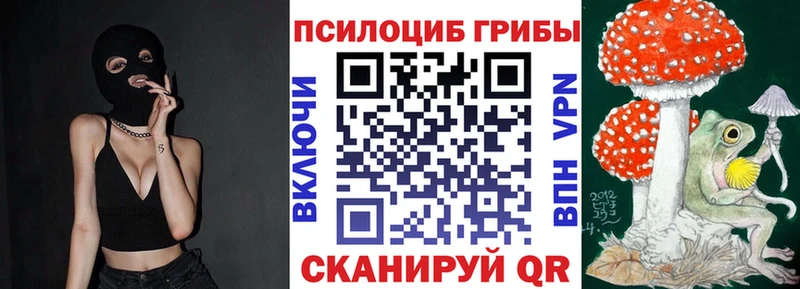 hydra ссылка  Углич  Псилоцибиновые грибы мицелий 