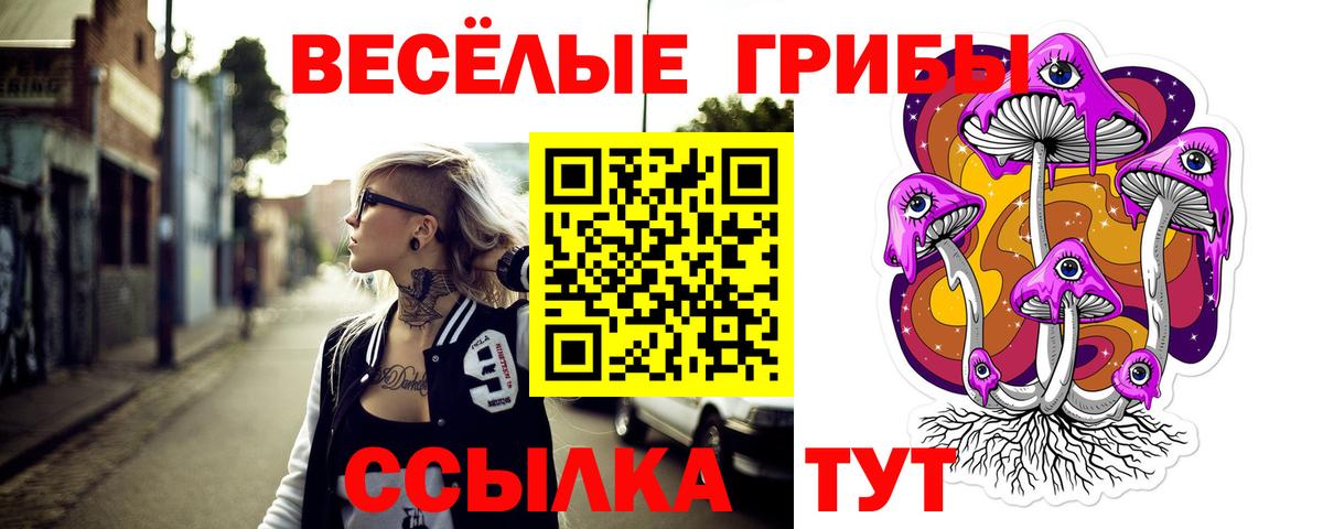 Галлюциногенные грибы Psilocybine cubensis  Вход с VPN  купить  цена  Углич 
